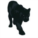 blackleopardcamp.com