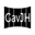 gavjh.com