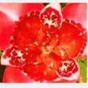 eatloveandbehappy.com