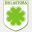 dsg-astora.de