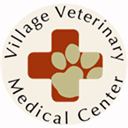 villagevetclinic.com