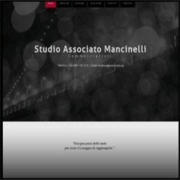 studiomancinelli.net