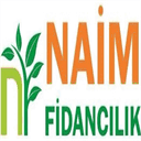 naimfidancilik.com