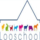 looschool.com