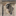 drdaneshpour.com