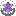 daylilynetwork.org