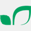 mintleafsoftware.com